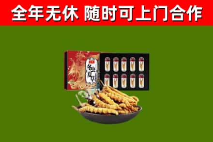 岭东区回收冬虫夏草价格
